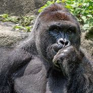 I aint gay but $5 is $5.