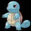 Squirtle lv.100