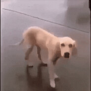 RJ