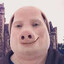 John Pork