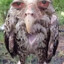 яйца осла's avatar