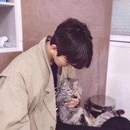 创造者的故事猫