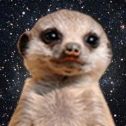 Suricate Na`Vi