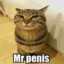 Mr_Penis