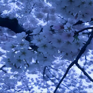 strax v potoke? 240km/h