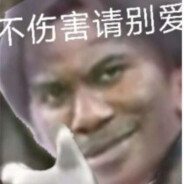 蔡徐坤闪击波兰wbs