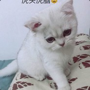 您的白给队友已上线