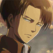 levi