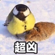 我不是傻狍子阿