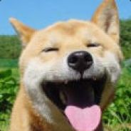 Top Shooter 小! 汪汪