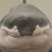Mr. Shurk