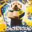 CACHORRAO