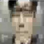 Monke