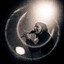 Avatar of stryder