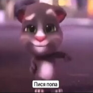 Пися попа