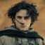 PAUL MUAD&#039;DIB ATREIDES