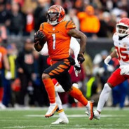 翻斗花园第一突击手