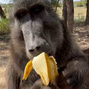 3rd world country PlammX enjoyer