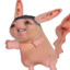 King pickles