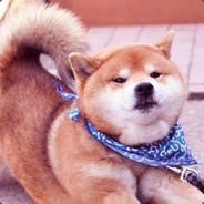 砰砰砰砰砰砰砰砰