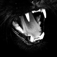 gosho