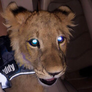 𝐀𝐋 𝐐𝐀𝐒𝐈𝐌