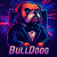 𝑩𝒖𝒍𝒍𝑫𝒐𝒐𝒈