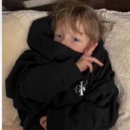 不再卑微张开朗