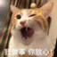 陈PJ0222