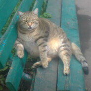 loneflou - steam id 76561199375229149