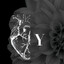 Y*possessed