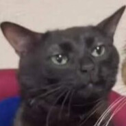 Casual Bussy Enjoyer