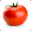 Just Tomato