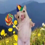 ты виновата