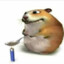 Dngrhamster