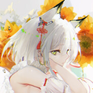 无头怪鱼的人间之旅