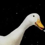 🦆УТКА🦆 - steam id 76561199406095649