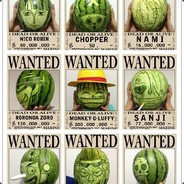 代码小牛从零开刷