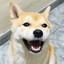 Hiroshi