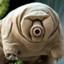 Tardigrade