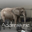 Address Me