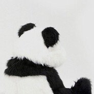 PandaDaftxLove