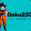 Goku2309