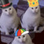 Three Huh Cats in Silly Hats
