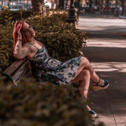 不偷东西的狐狸