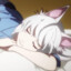猫物語（白）