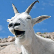 Goat avatar