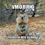 лейтенант гавкошмыг avatar