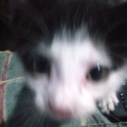 ☘ 𝓜𝓡 𝚕𝚞𝚔𝚒