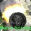 El Mofokin Perro Bomba